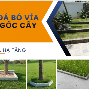 BÓ VỈA GỐC CÂY